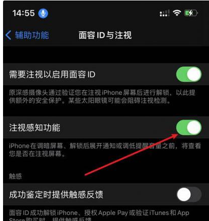 连山苹果14维修网点分享iPhone14注视感知功能有什么用 